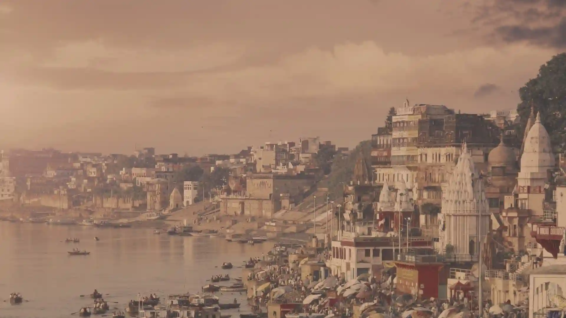 Environmental Impact